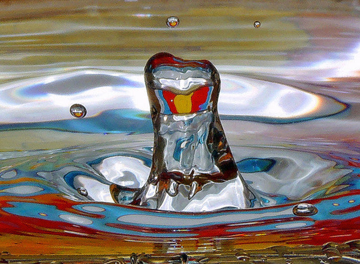 10 Amazing Archery Photos