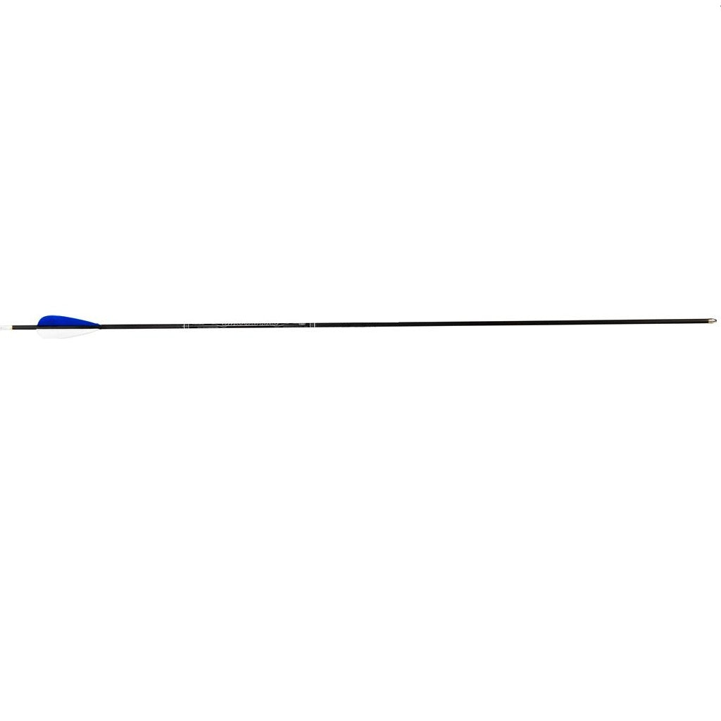 Avalon Tyro Carbon Arrow With Feathers
