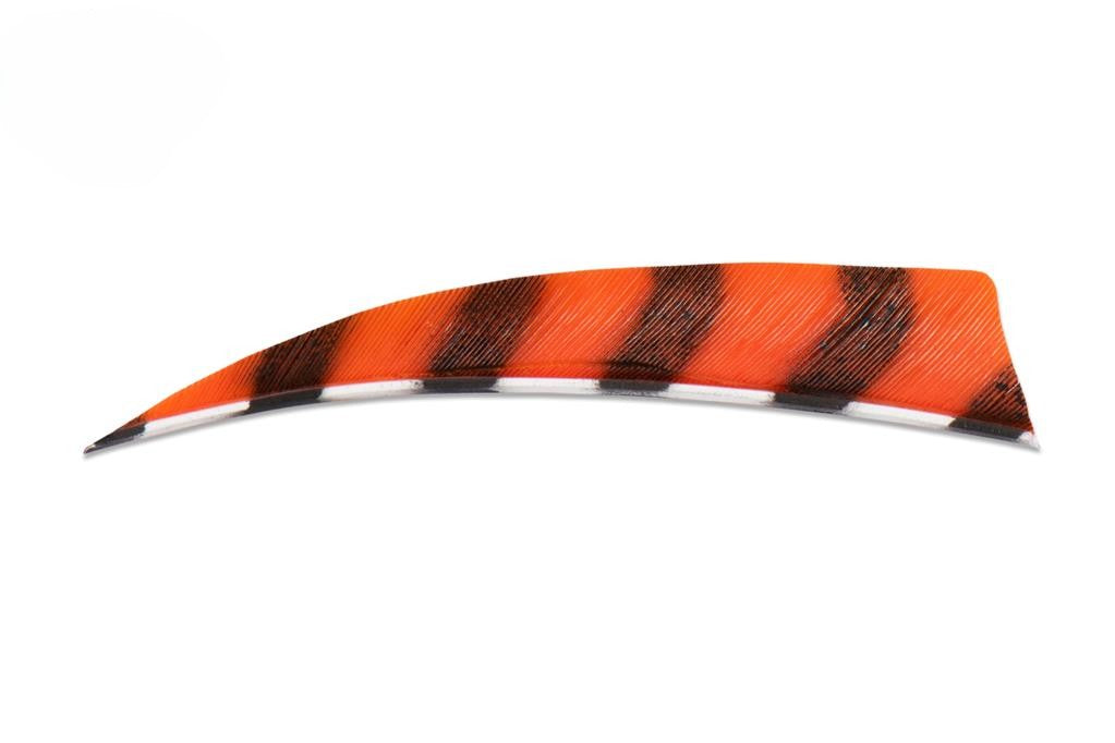 Buck Trail Shield Feather 4" Barred Colour
