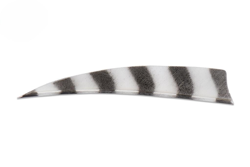 Buck Trail Shield Feather 4" Barred Colour
