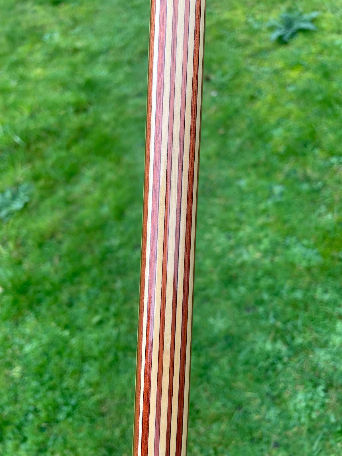 Gary Evans Mjollnir Longbow