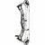 Hoyt Alpha AX-2 32 Compound Bow In Stock