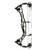 Hoyt Z1S Compound Bow Target Colours Special Order