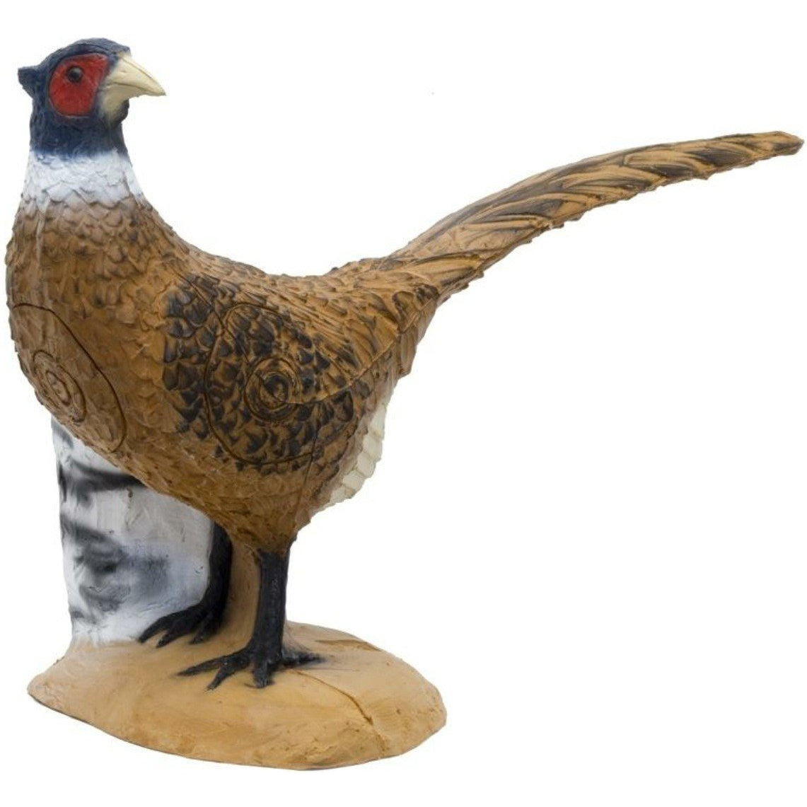 SRT Pheasant