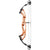 Hoyt Prevail 37 SVX Compound In Stock