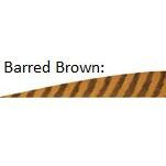 Gateway G4 Barred Feathers x1