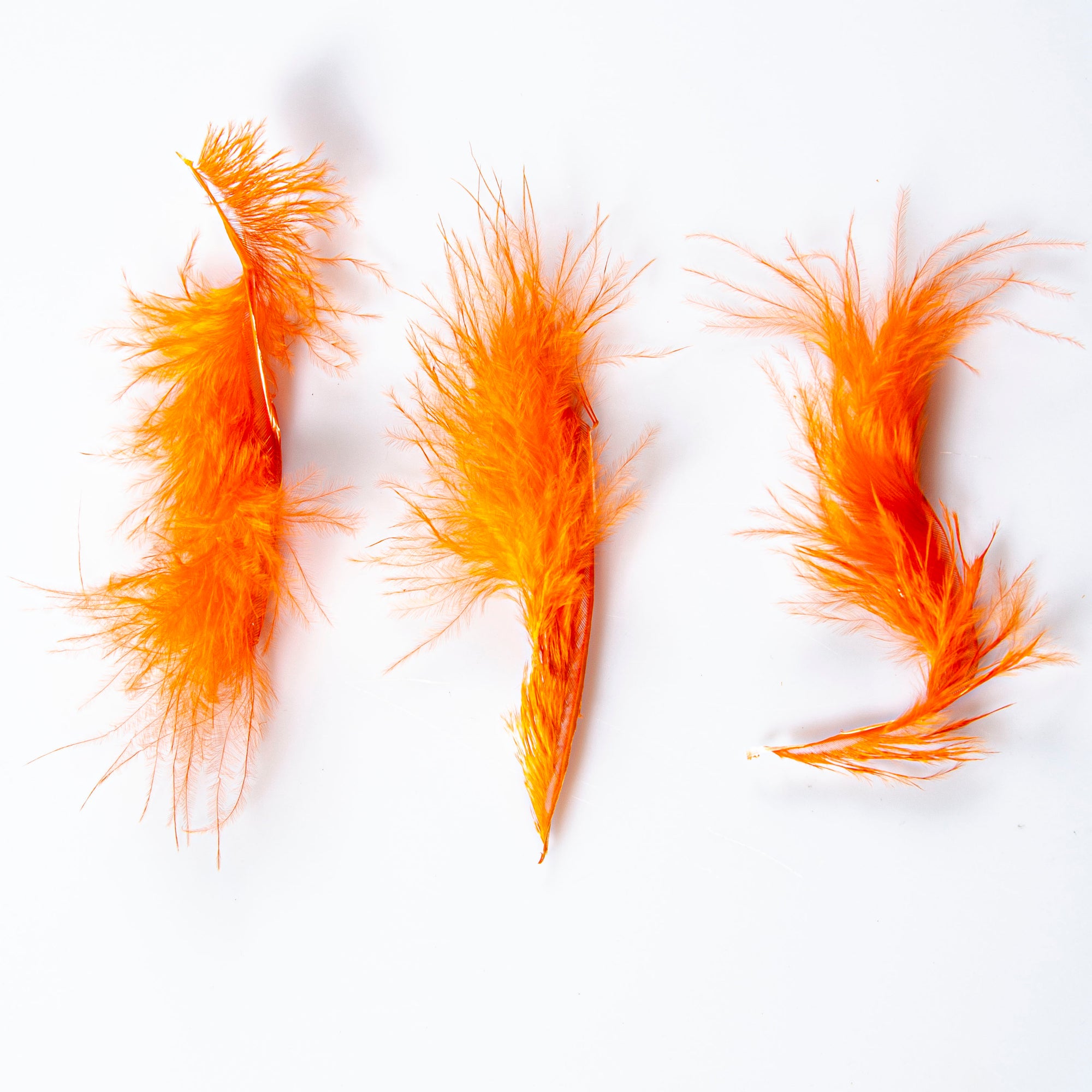 Gateway Arrow Tracers