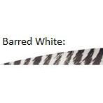 Gateway G3 Barred Feathers x1