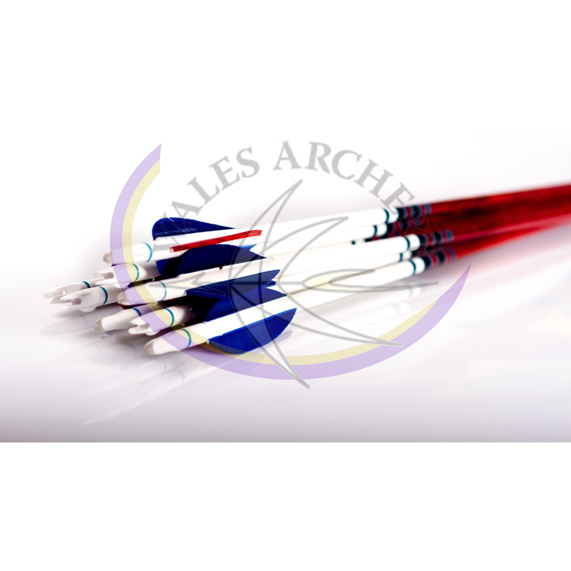 Rose City Archery 5/16 Hunter Elite Arrows 3" Feather