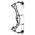 Hoyt Eclipse Compound Bow Special Order