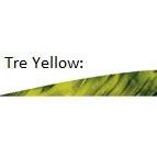 Gateway G4 Tre Colour Feathers x1